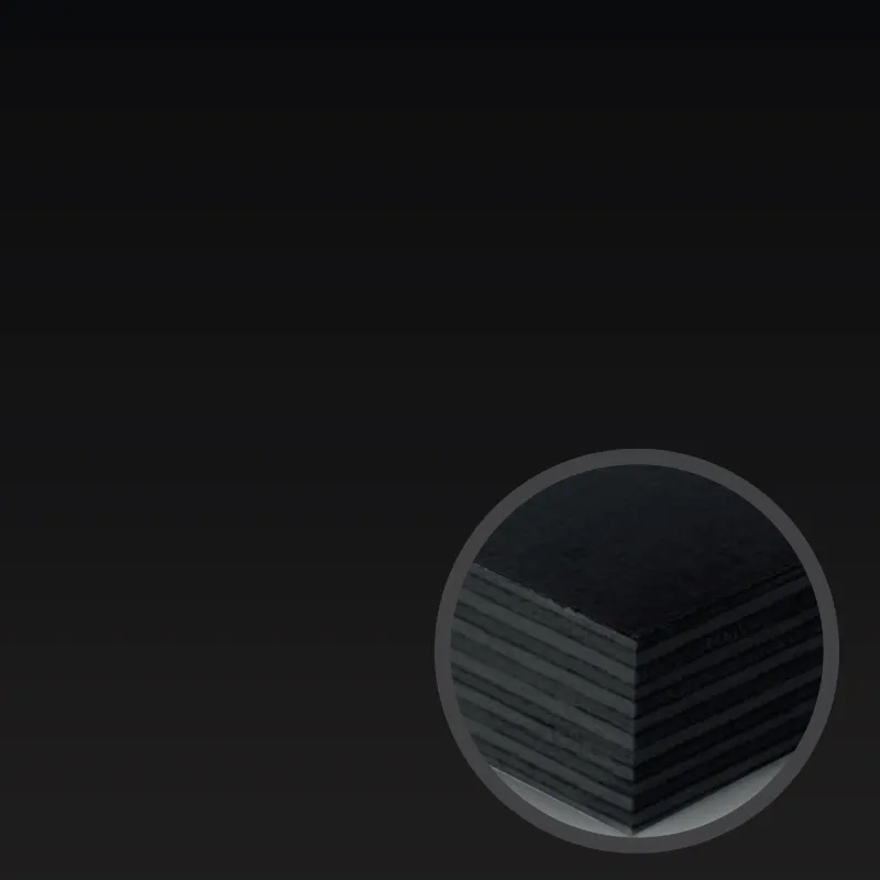 FORM PLY WOODTEK 12X1220X2440MM BLACK FILM FACE